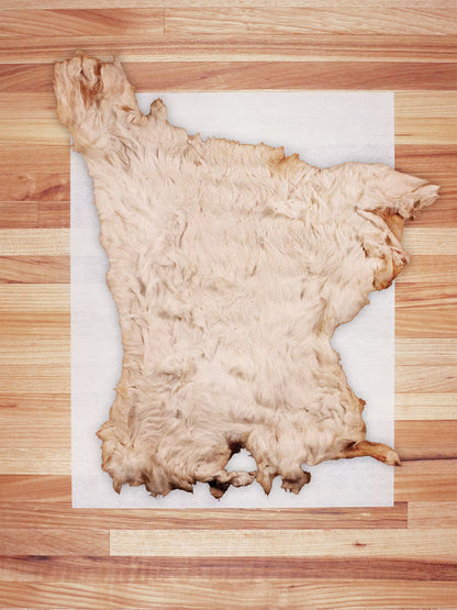 Whole Rabbit Hide (Hairy)
