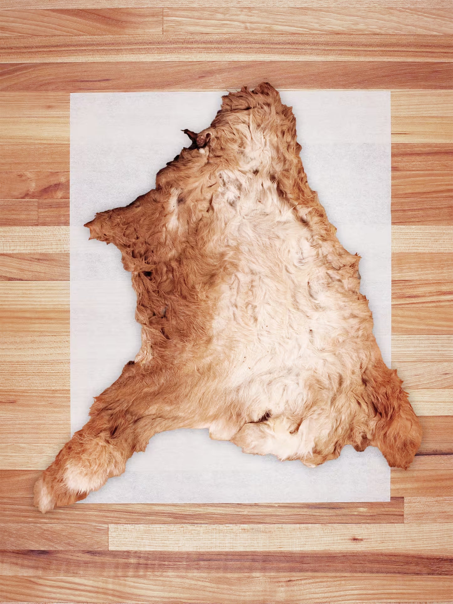 Whole Rabbit Hide (Hairy)