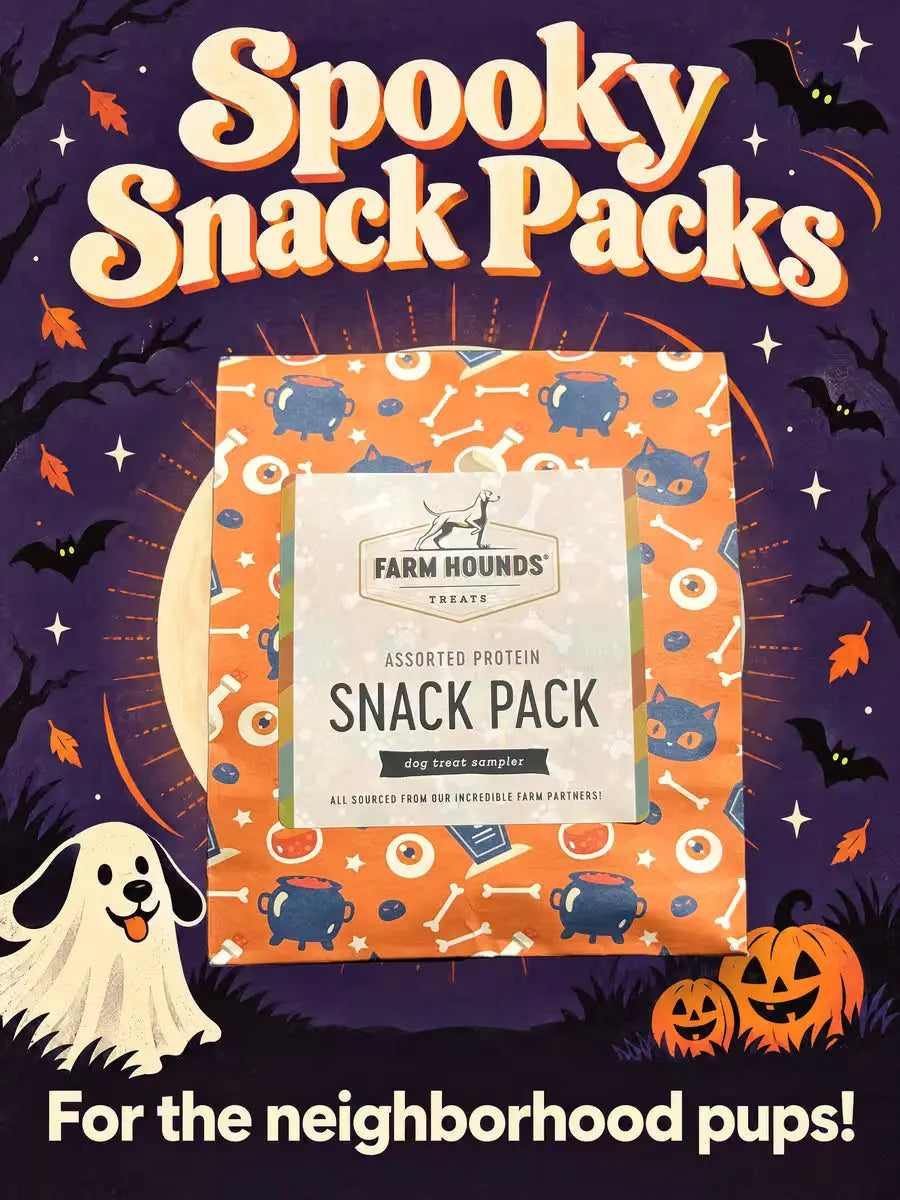 Spooky Snack Pack - 24ct Farm Hounds
