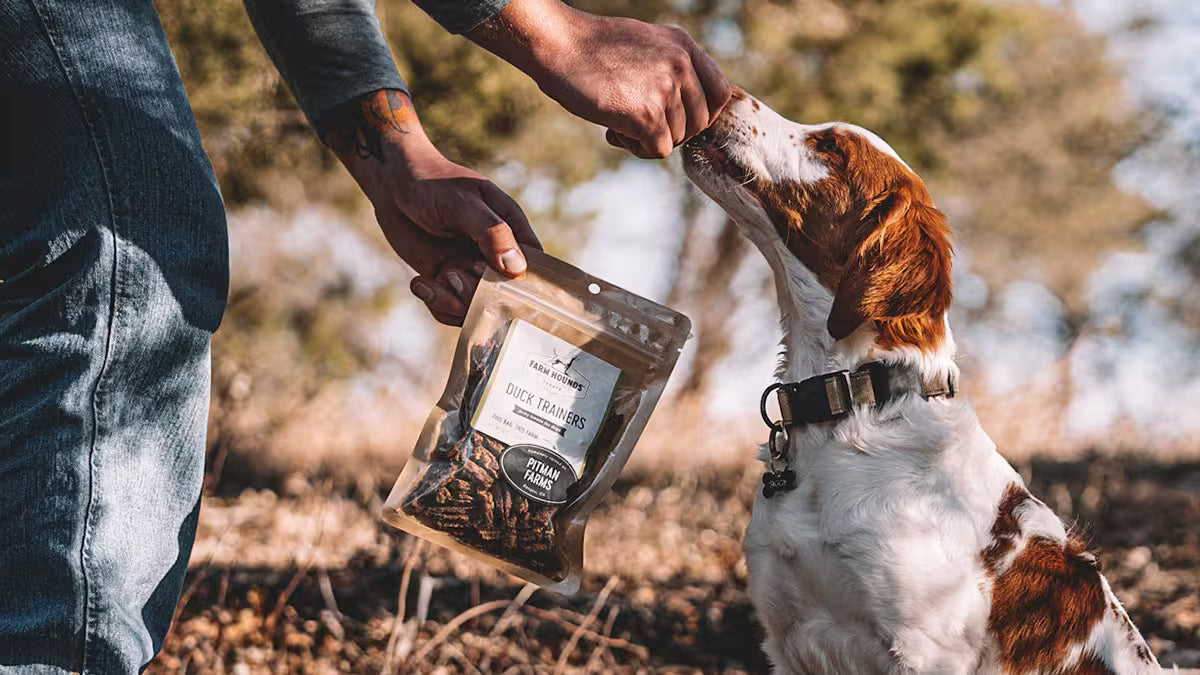 A person outdoors holds a bag of Farm Hounds Duck Trainers while offering a treat to a white and brown dog