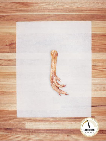 light colored turkey foot on butcher block countertop