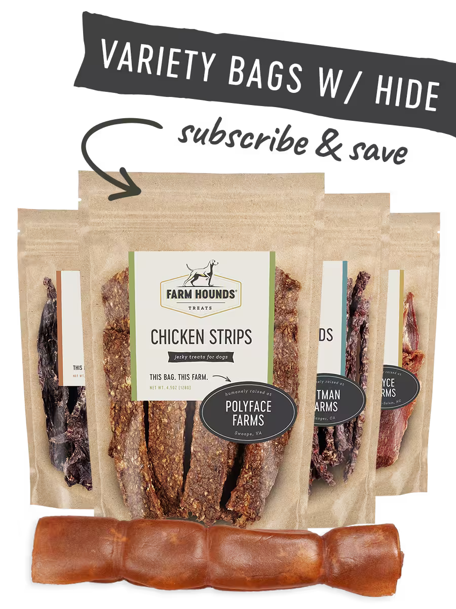 Variety Bags with Hide Box 4 Bags Large 8" Roll - Standard