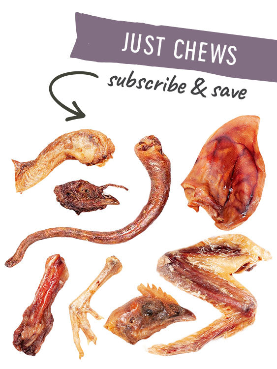 Just Chews Box