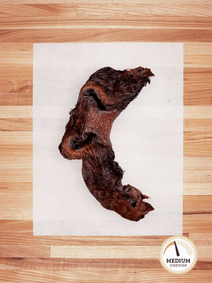 brown beef nose with cheek on a butcher block countertop