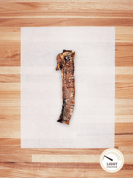 Lamb Trachea