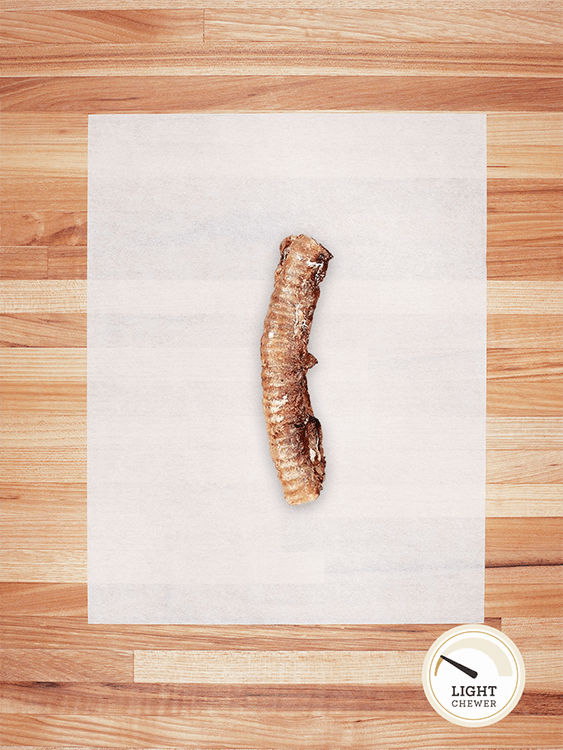 Lamb Trachea